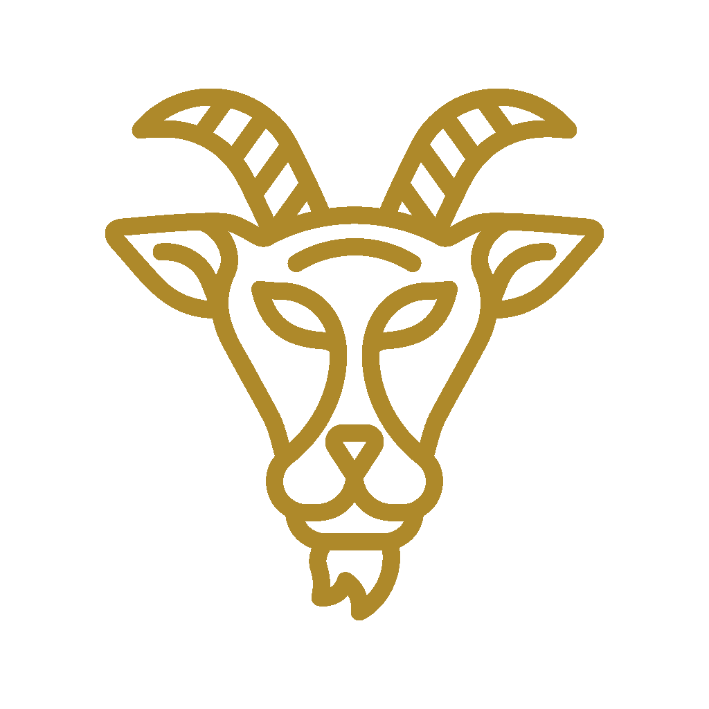 8425.S2 - Capricorn