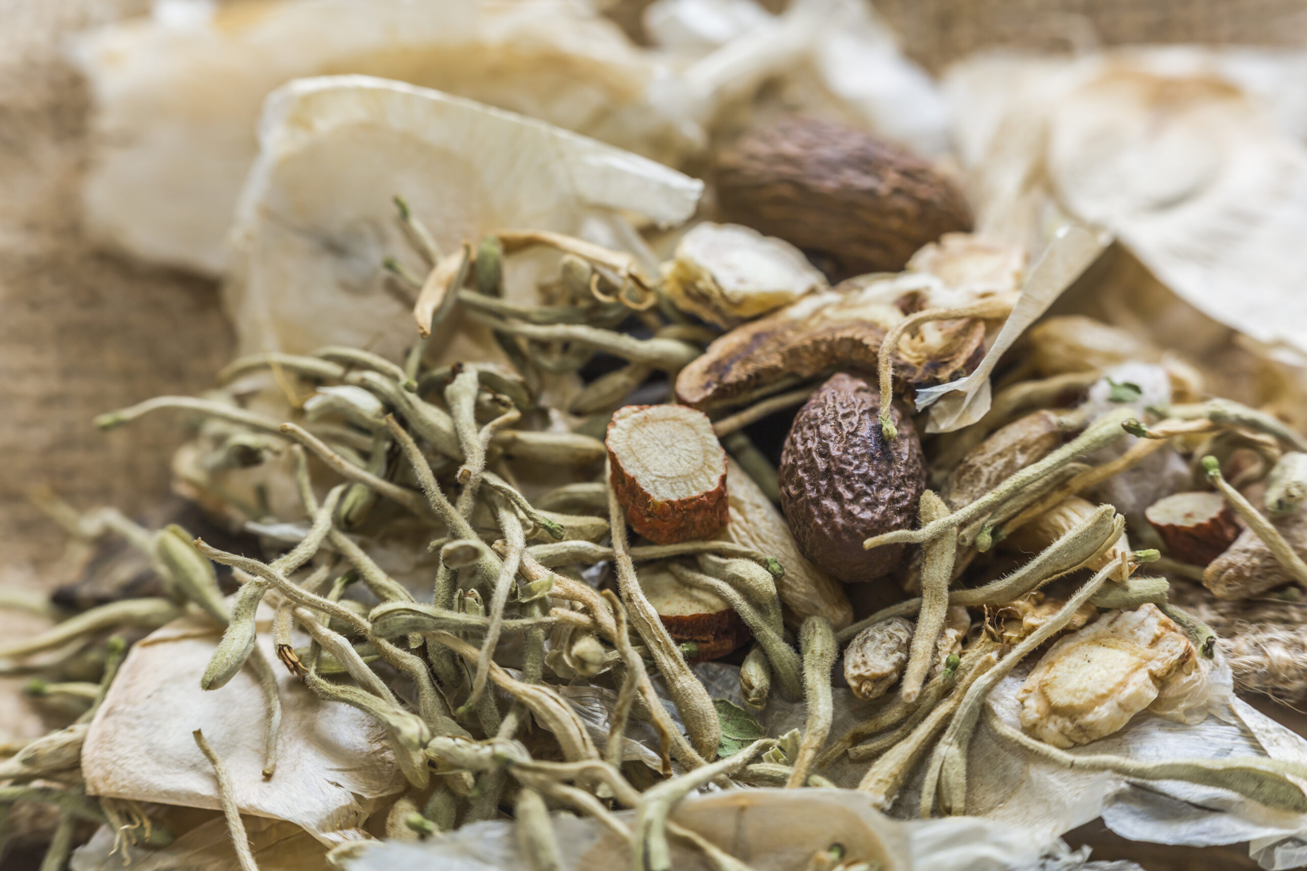 frutas-ervas-ingredientes-sementes-naturais-pinheiro